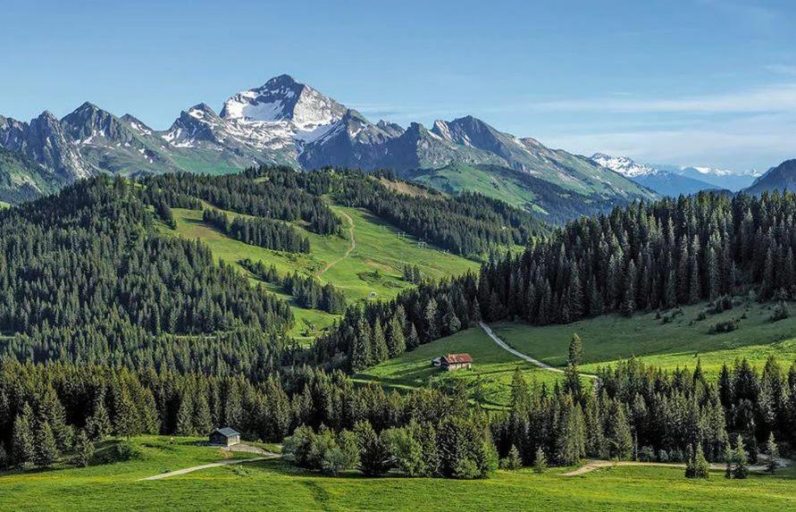 Hotel Les Aravis Saint-Jean-de-Sixt Kültér fotó